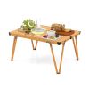 Folding Camping Table with Storage Bag for Outdoor Trip